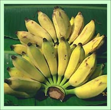 ผิวงาม..ตามด้วยสุขภาพจากกล้วยน้ำว้า