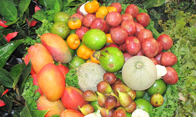 โครงการหลวง 40 ชูไฮไลต์ พืช-ผลไม้ เพื่อสุขภาพ