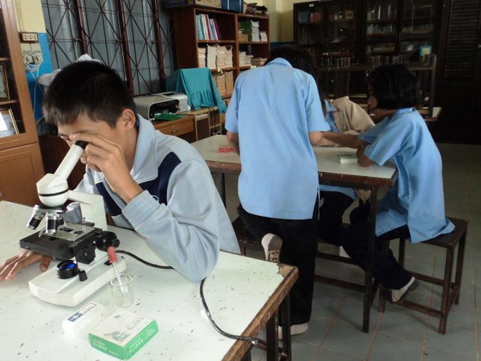 คำบรรยายภาพ