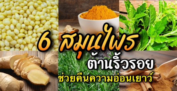 6 สมุนไพรต้านริ้วรอย ช่วยคืนความอ่อนเยาว์