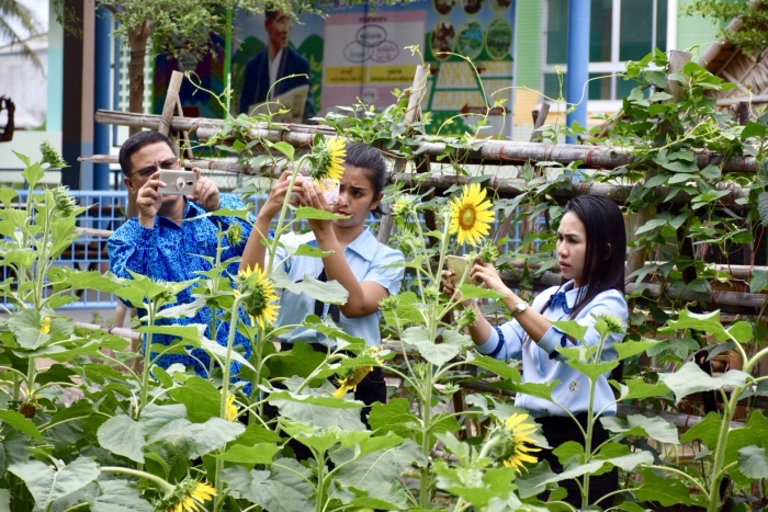 คำบรรยายภาพ