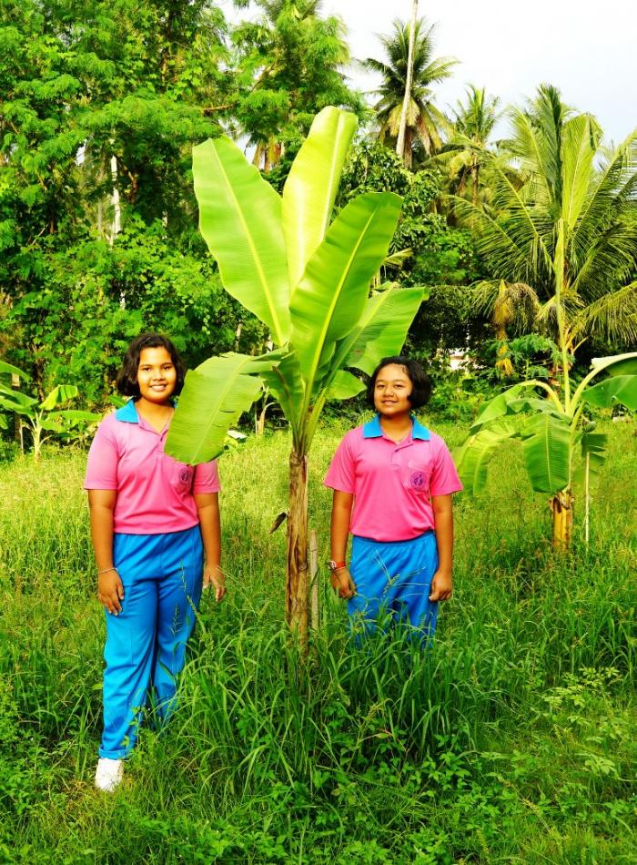 คำบรรยายภาพ