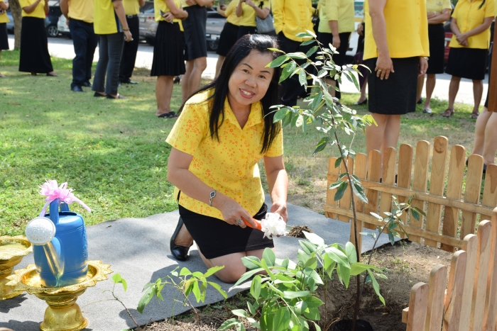 คำบรรยายภาพ