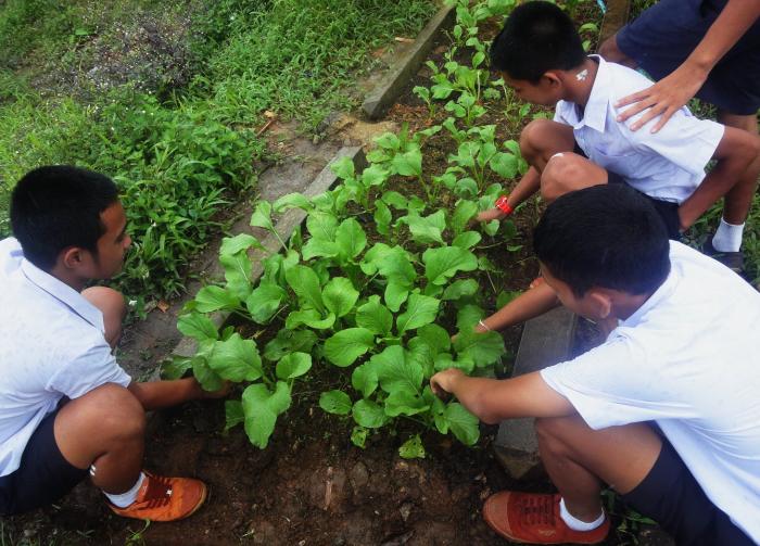 คำบรรยายภาพ