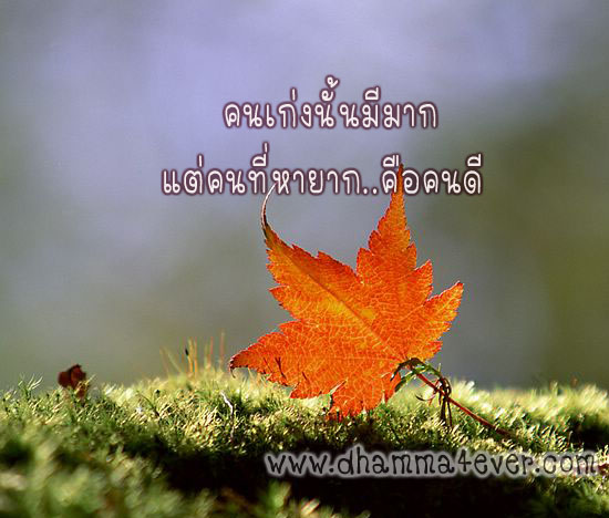 ธรรมะก่อนนอน 15 นาที (แล้วท่านจะมีความสุขก่อนนอน)ใจสงบนะ