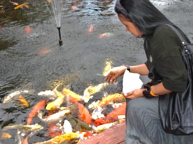 Photography : Queen Sirikit Botanic Garden,Bkk,Thailand (May 7,09) Vol.1/3‏