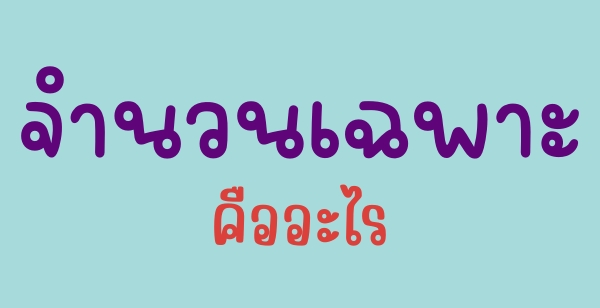 จำนวนเฉพาะ (Prime Number) คืออะไร?