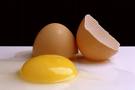 ไข่ดิบมีประโยชน์จริงหรือ