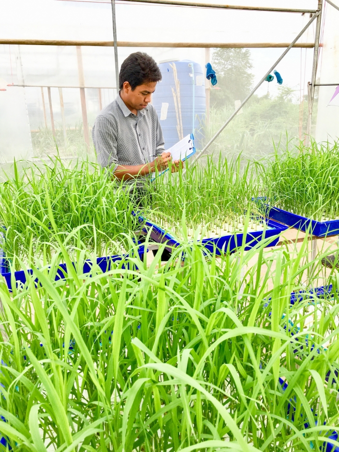 คำบรรยายภาพ