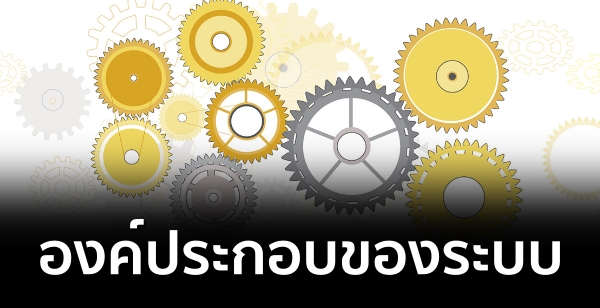 องค์ประกอบของระบบ 