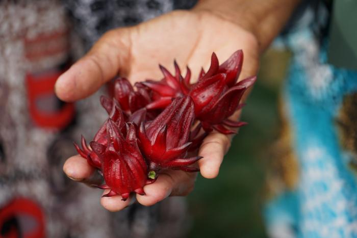 คำบรรยายภาพ