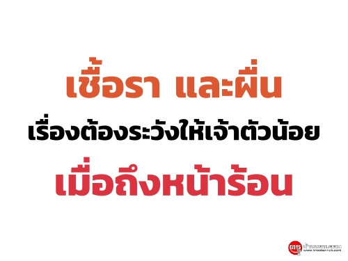 เชื้อรา และผื่นเรื่องต้องระวังเมื่อถึงหน้าร้อน