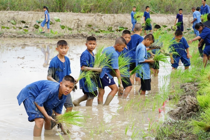 คำบรรยายภาพ