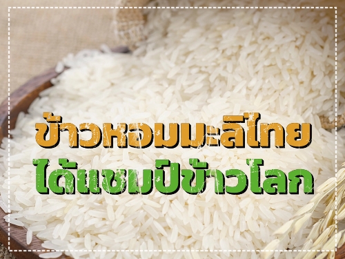 ข้าวหอมมะลิไทยได้แชมป์ข้าวโลก