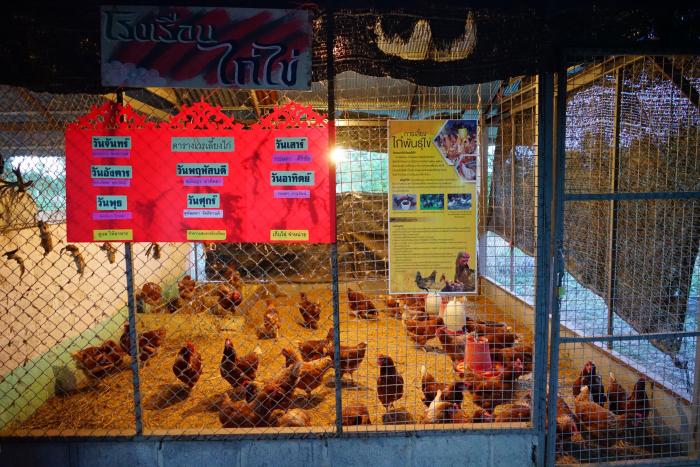 คำบรรยายภาพ