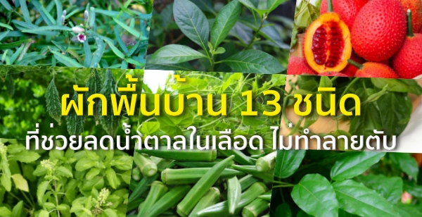 ผักพื้นบ้าน 13 ชนิด ที่ช่วยลดน้ำตาลในเลือด ไม่ทำลายตับ