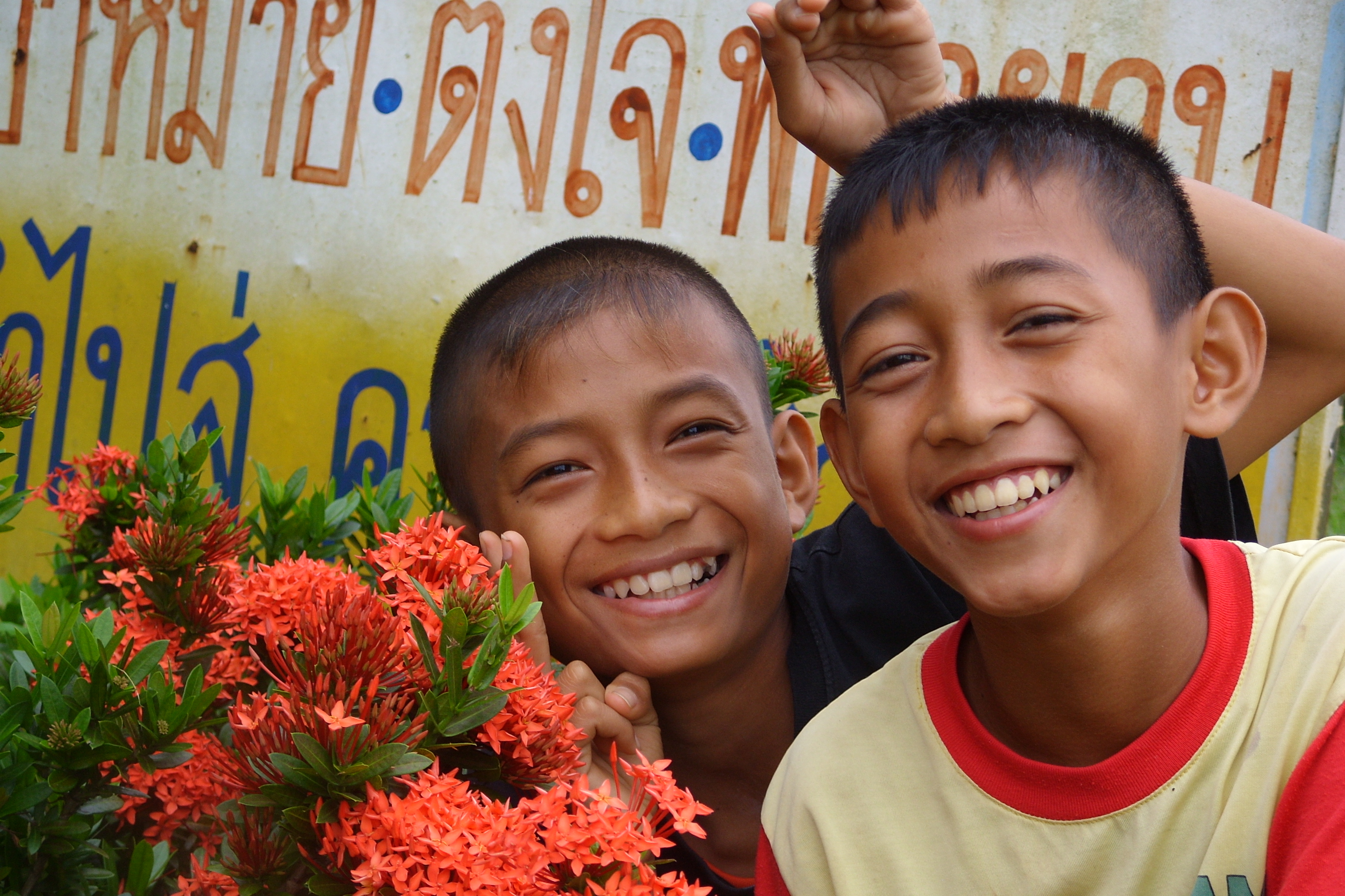 โปรดเถิดดวงใจ.....สารรักฉบับล่า