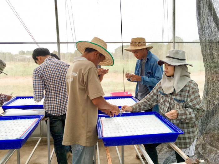 คำบรรยายภาพ