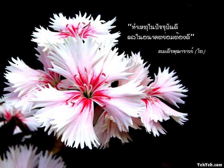 11 ข้อคิดธรรมะดีๆ จากระดับพระเกจิอาจารย์ดังครับ