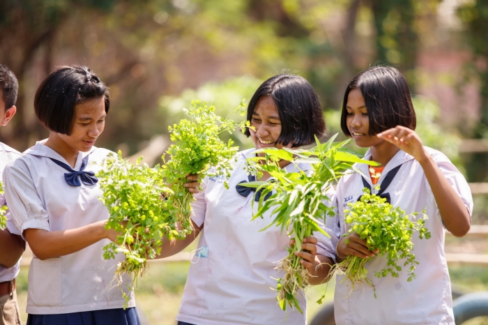 คำบรรยายภาพ