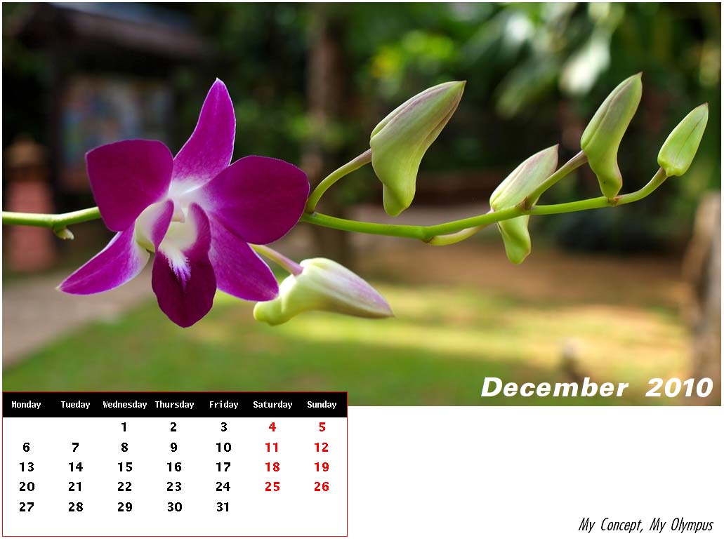 ปฏิทินปีใหม่ 2553.... ^-^ รูปดอกไม้สวยๆ ^-^