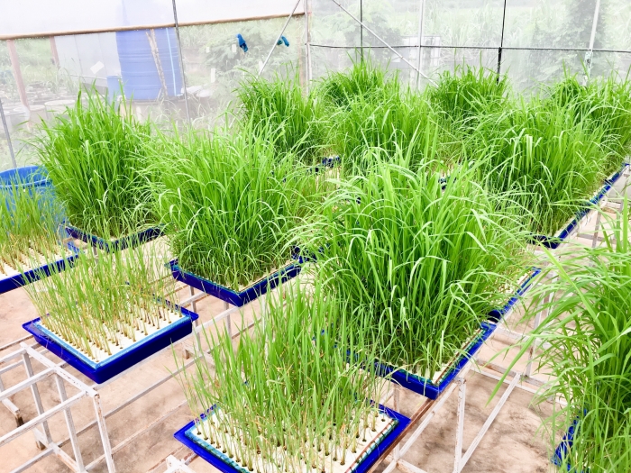 คำบรรยายภาพ