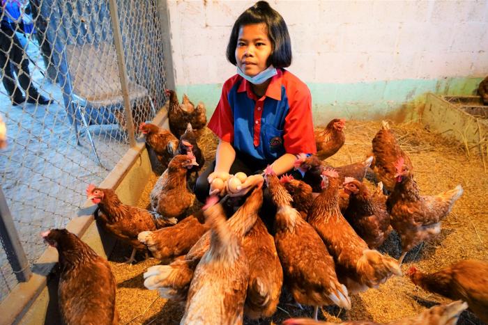 คำบรรยายภาพ