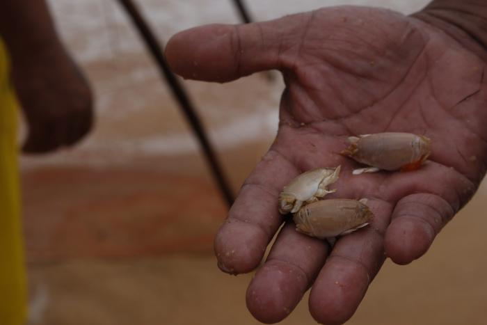 คำบรรยายภาพ