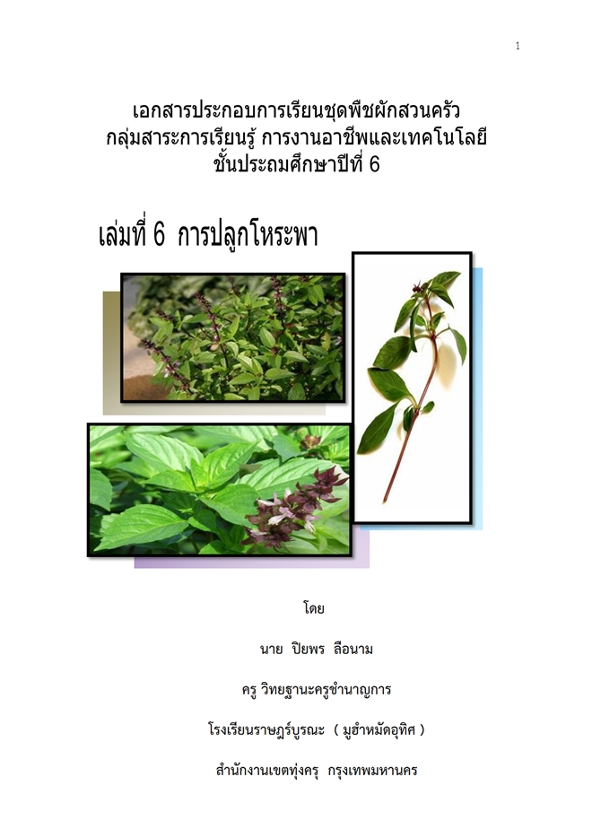 เอกสารประกอบการเรียนชั้น ป.6 ชุด พืชผักสวนครัว ผลงานครูปิยพร ลือนาม