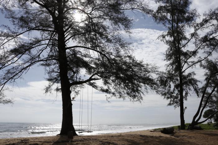 คำบรรยายภาพ