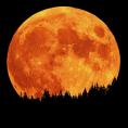 คืนนี้ชมจันทร์เต็มดวงขนาดใหญ่ และสว่างที่สุดในรอบปี