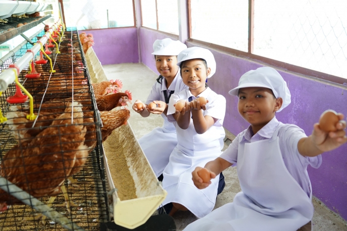 คำบรรยายภาพ