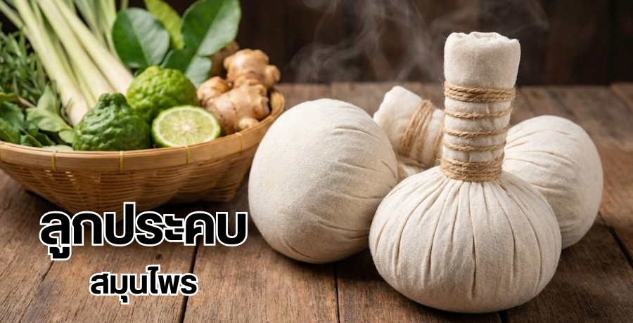 ลูกประคบสมุนไพร ลูกประคบสมุนไพร