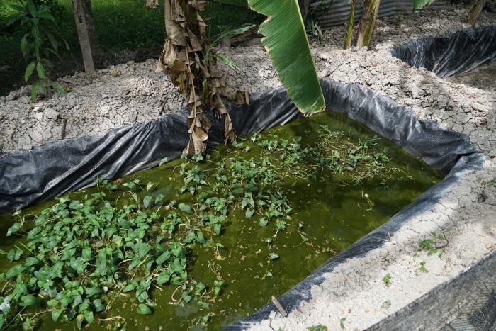 คำบรรยายภาพ