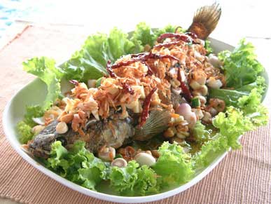 เพื่อสุขภาพ คนไทยกินปลาน้อย แนะกินปลาน้ำจืดแหล่งโอเมกา 3 ไม่แพ้ปลาทะเล