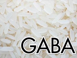 "Һ (GABA)" 索