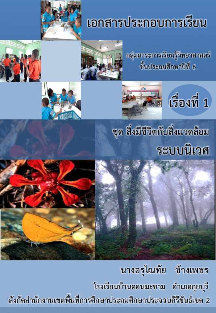 เอกสารประกอบการเรียนชุด สิ่งมีชีวิตกับสิ่งแวดล้อม ผลงานครูอรุโณทัย ช้างเพชร