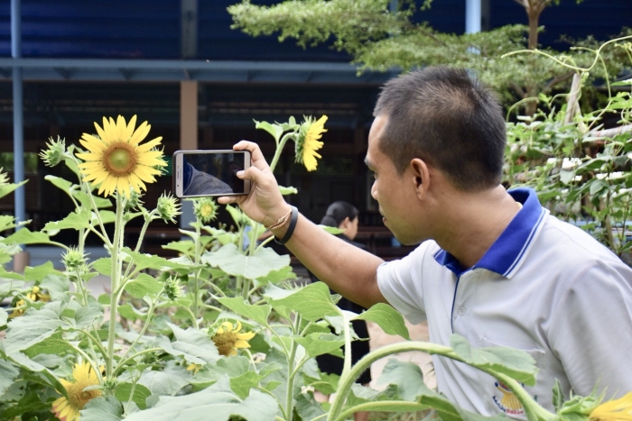 คำบรรยายภาพ