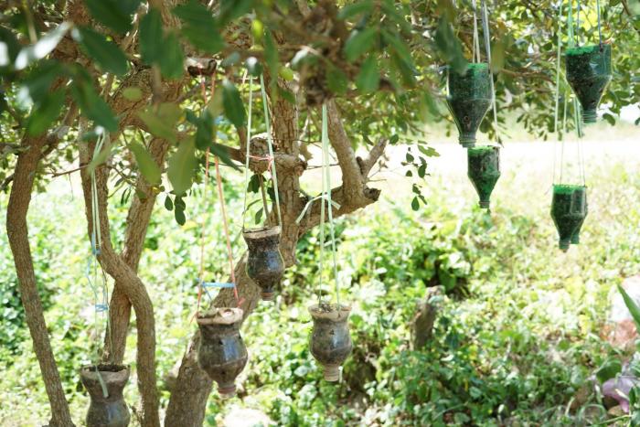 คำบรรยายภาพ