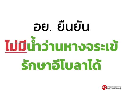 อย. ยัน ไม่มีน้ำว่านหางจระเข้รักษาอีโบลาได้