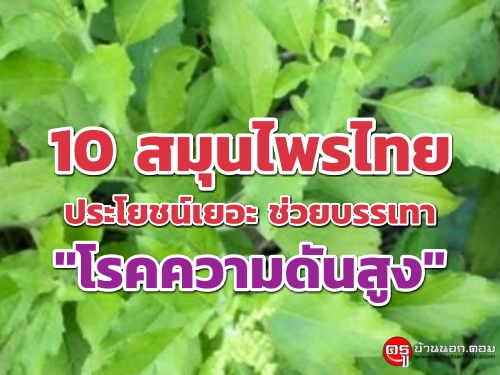 10 สมุนไพรไทย ประโยชน์เยอะ ช่วยบรรเทา "โรคความดันสูง"