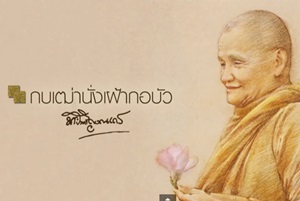 กบเฒ่านั่งเฝ้ากอบัว