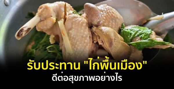 รับประทาน "ไก่พื้นเมือง" ดีต่อสุขภาพอย่างไร