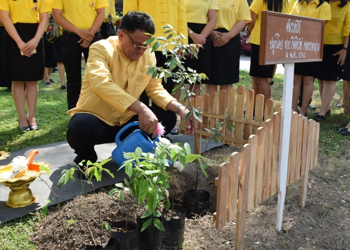 คำบรรยายภาพ