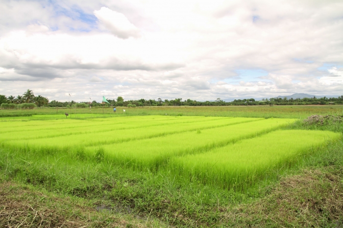 คำบรรยายภาพ