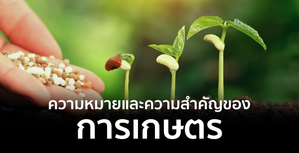 ความหมายและความสำคัญของการเกษตร