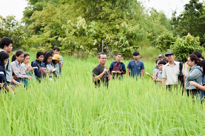 คำบรรยายภาพ