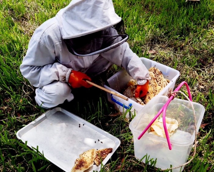 คำบรรยายภาพ