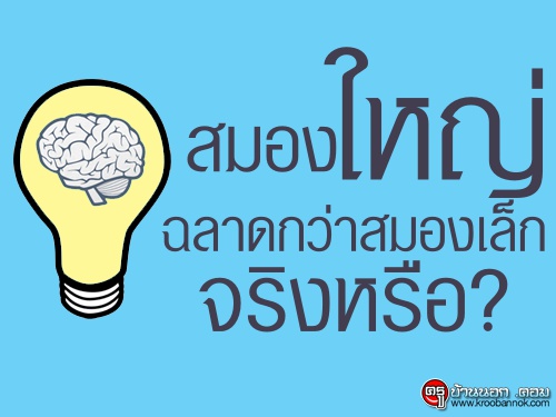 จริงหรือที่คนมีสมองขนาดใหญ่ฉลาดมากกว่าคนที่มีสมองขนาดเล็ก ? หาคำตอบได้ที่นี่! จริงหรือที่คนมีสมองขนาดใหญ่ฉลาดมากกว่าคนที่มีสมองขนาดเล็ก ? หาคำตอบได้ที่นี่!