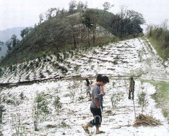 ดร.อาจอง เผยหิมะตก ในประเทศไทย ม.ค. ปีหน้า